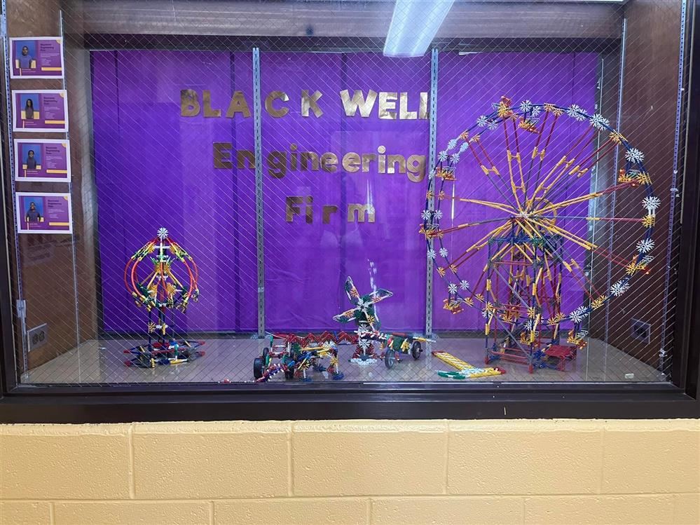  Showcase of STEM Projects